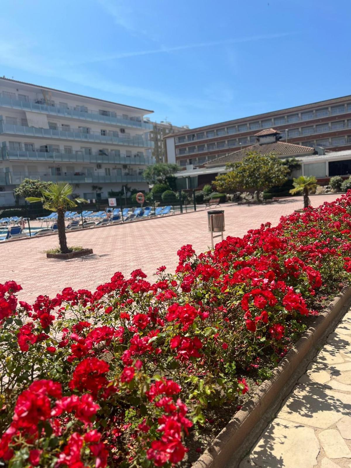 Apcostas Els Pins Lotus Apartment Blanes Exterior photo